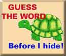Turtle Word Guess